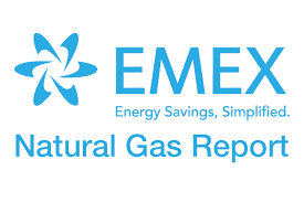 EMEX, LLC Expands Executive Team, Names Rad Brannan as Chief Information Officer