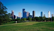 Green Spaces Can Help You Trust Strangers