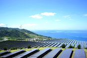 Renewable Energy Now Accounts for a Third of Global Power Capacity
