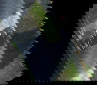 Gaist’s Mapping Solution Could Boost Efficiency for Utilities Market by 10 Per Cent at 0.01% of Project Cost