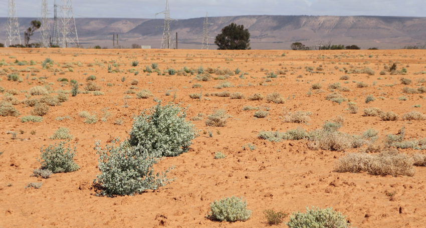 Massive Power Station Revegetation Project Completed in Australia
