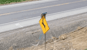 Video: UDOT Installs New Radar-Equipped Wildlife Crossing Signs to Reduce Deer Collisions
