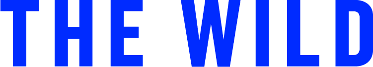 The Wild and Igloo Vision Partner to Bring Real-Time VR/AR Collaboration to Immersive Shared VR Environments