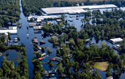 Volunteers from Across South Carolina to Clean Ditches in Flood-Ravaged Nichols, Thanks to Governor, Floodwater Commission