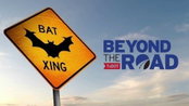 Video: Texas DOT Explains Why Its Bridges Are ‘Bat-Friendly’