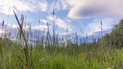 Jacobs Selected for Wetland/Electro-Coagulation Treatment Facility at Superfund Site in Washington State