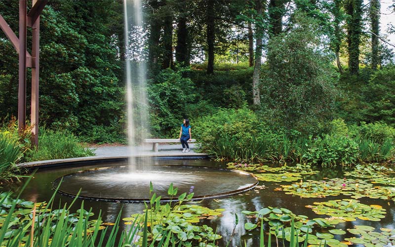 ASLA Announces 2019 Professional & Student Award Winners