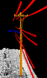 Quantum Spatial Speeds Utility Pole Clearance and Load Analysis with inSITE Pole Manager