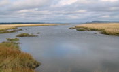 Stantec Awarded Project to Support Western Washington Shellfish Industry