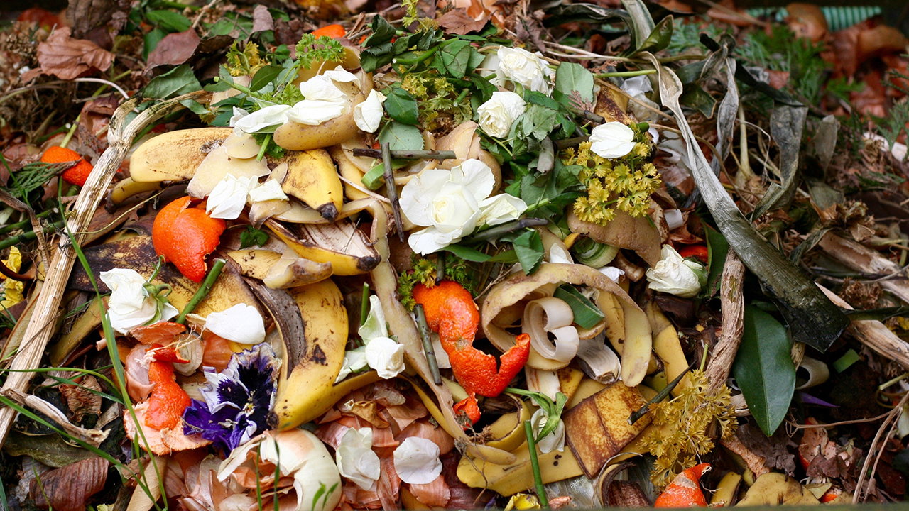 Jacobs Selected to Design Commercial Waste Building for Sacramento County