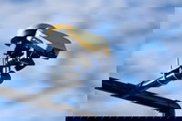 Topcon Expands Intelligent Paving Portfolio With Thermal Mapper System