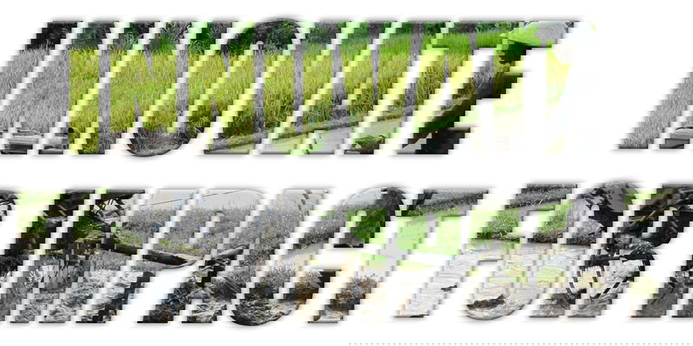 Engineering for Change and Siemens Extend Deadline for Clean Water and Zero Hunger Design Challenge