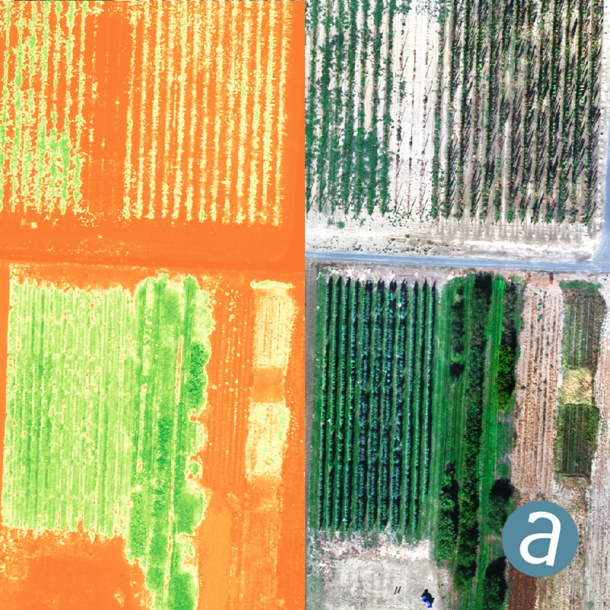 SimActive Introduces Cloud Sharing and Reflectance Calibration with New Version 8.5