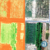 SimActive Introduces Cloud Sharing and Reflectance Calibration with New Version 8.5