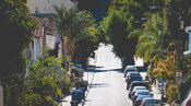 Many New Resources to Help Los Angeles Shape an Equitable Vision for its Urban Forest