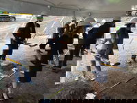 JCJ Architecture Designs New Boys & Girls Club of Hartford Facility