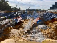 Pigs in the Water? Houston’s Largest Surface-Water Project Brings Engineering Value and Confidence