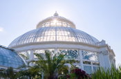 EW Howell Construction Group Completes Restoration of Iconic Palm Dome of The New York Botanical Garden’s Enid A. Haupt Conservatory