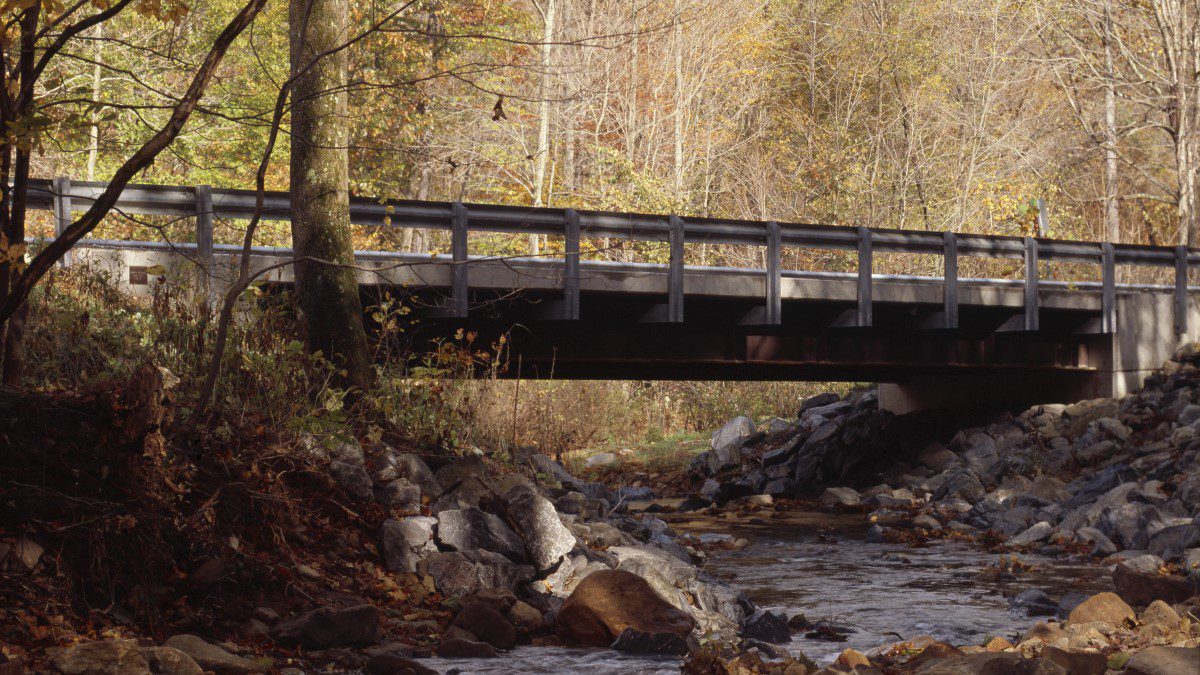 SSSBA Redesigns and Expands Website to Enhance User-Friendly Experience