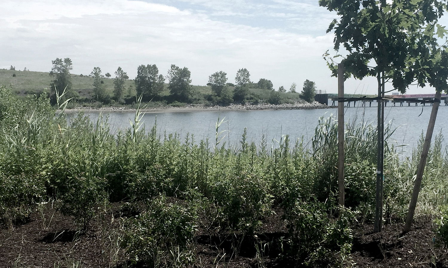 WSP USA Gains Position as a Leader in Environmental Services