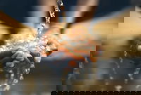 NSF renews Rice-based NEWT Center for water treatment