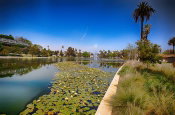 LA Sanitation and Environment Secures Funding for Four Safe Clean Water (Measure W) Water Quality Projects
