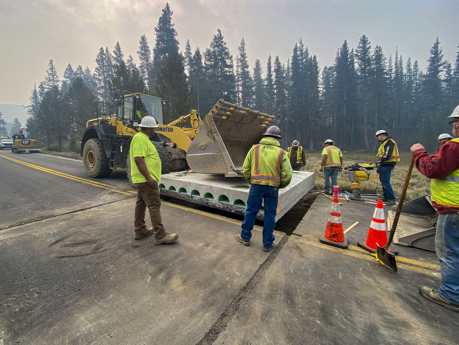 Building roads to save Yosemite toads