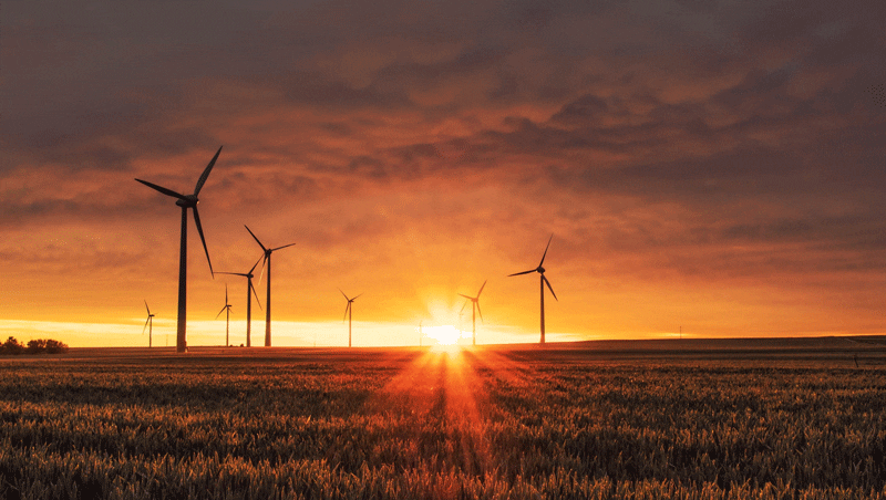 Miyamoto Selected for Unreasonable Impact