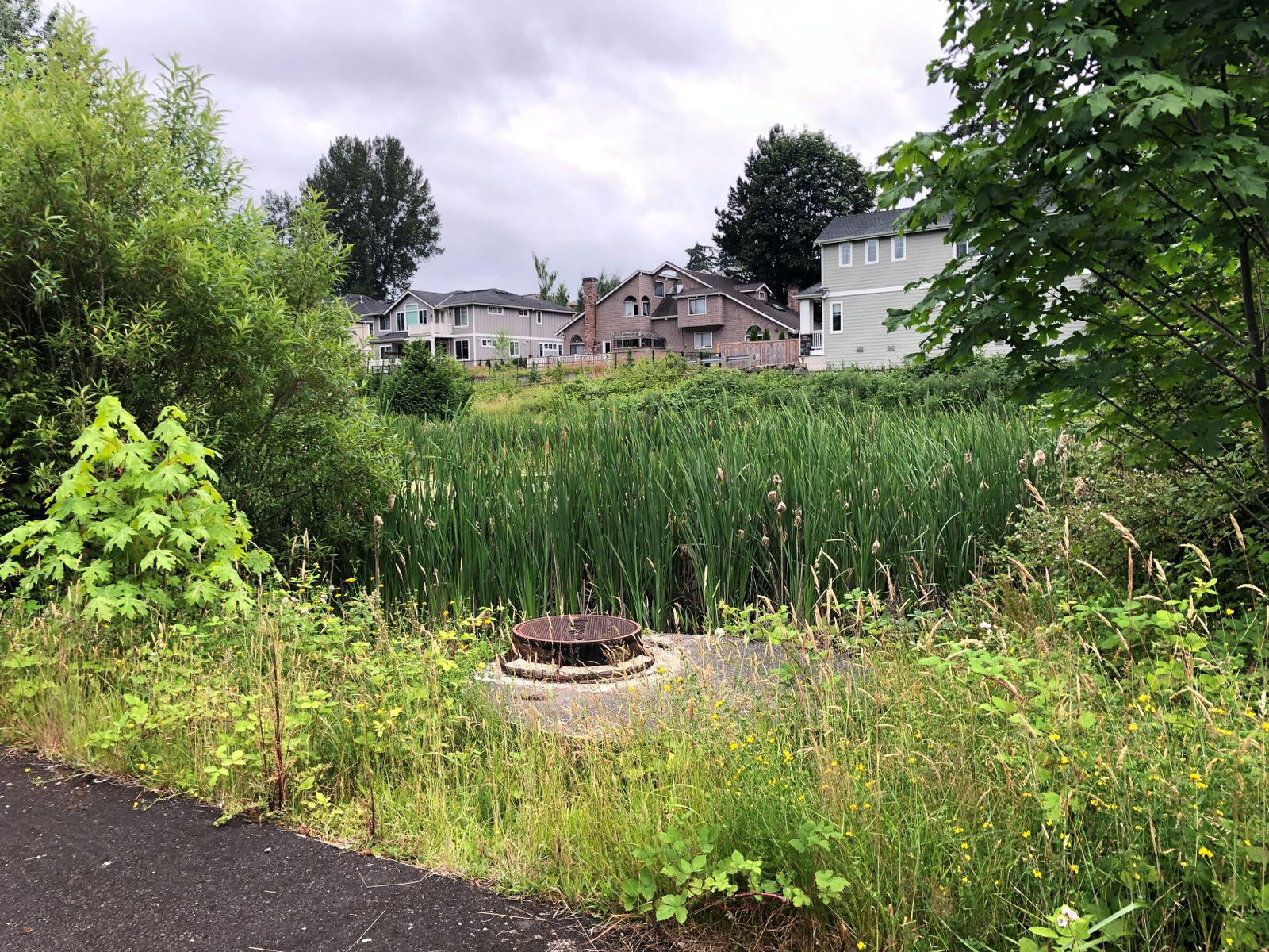 OptiRTC Retained by the City of Redmond WA, in Partnership with Osborn Consulting, Inc., to Improve Downstream Health and Water Quality within the Monticello Watershed