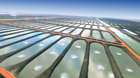 Solmax geosynthetics secure canals for mega fish farm in Egypt
