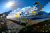 DOE To Invest $128M In Sustainable Transportation Research