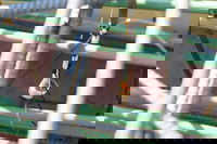 Is that building done yet? Researchers test sensors that could speed up construction schedules