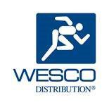 WESCO and Anixter’s Solar INSTA-REEL Wins 2021 BIG Innovation Award