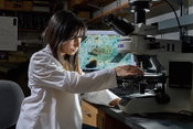New Mix Could Double Concrete’s Carbon Uptake