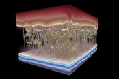 DuPont-Initiated Research Uncovers Key to Maximizing Production of Clean Water; Findings Featured on Cover of “Science”