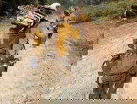 USDA Investing $285M In Transportation, Infrastructure