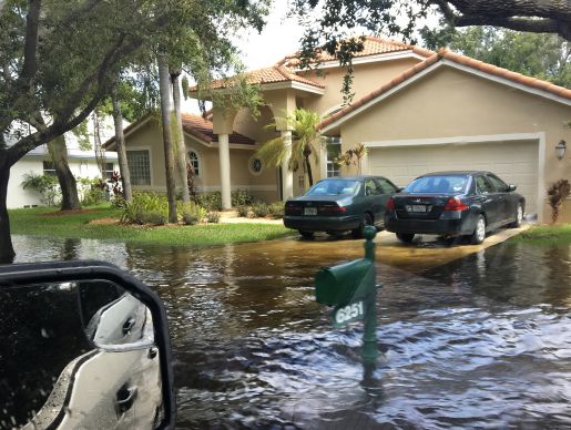 A Blueprint for Stormwater Mitigation: Coral Springs Proactively Addresses Multiple Concerns and Strategies
