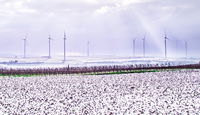 New Study by Leading Renewables Consultant ArcVera Shows Texas Icing Event Led to Over $4 Billion Financial Loss for Wind Farms