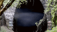 Video: The Tunnel