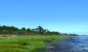 WSP USA Joins VoLo Foundation, Climate Action Leaders in Launching 2021 Florida Climate Week
