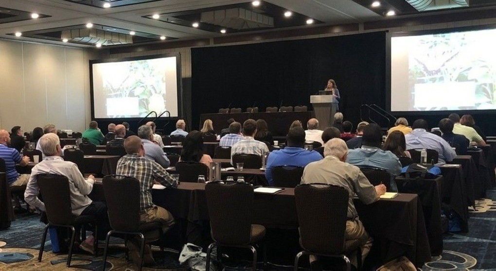 Call for Abstracts Open for  Live, In-Person IECA Conferences