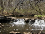 Forest Preserve District of DuPage County selects Stantec to assist in the study of 5,500 acres of forest preserve property