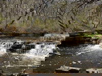 Forest Preserve District of DuPage County selects Stantec to assist in the study of 5,500 acres of forest preserve property