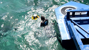 Collaboration Agreement Signed Between Eco Wave Power and The Israeli Ministry of Defense and The Israeli Navy