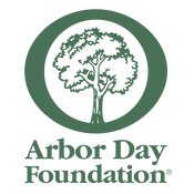 Applications for 2022 Tree Line USA Recognition are Now Open