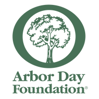 Applications for 2022 Tree Line USA Recognition are Now Open