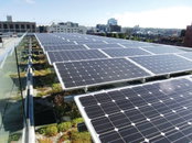 Green Roofs: A Growing Trend for a Growing Need