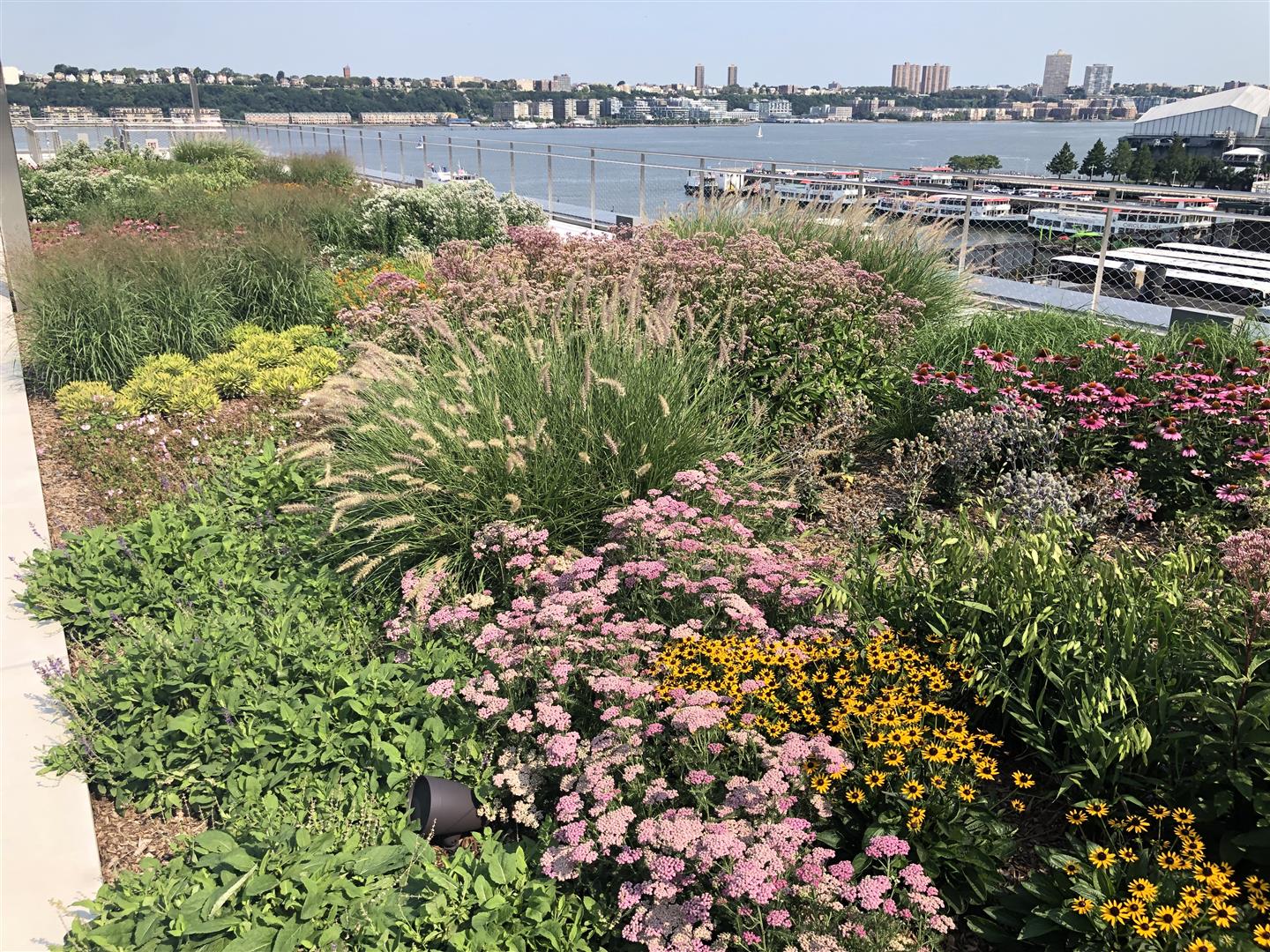 As part of a $1.5 billion expansion, Javits Center opens working rooftop farm and landscaped terrace