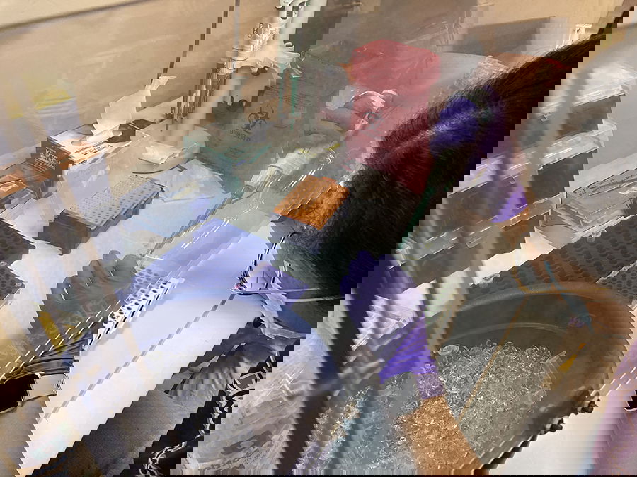 Wastewater survey tracks COVID-19 Delta variant in Reno/Sparks