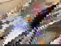 Wastewater survey tracks COVID-19 Delta variant in Reno/Sparks